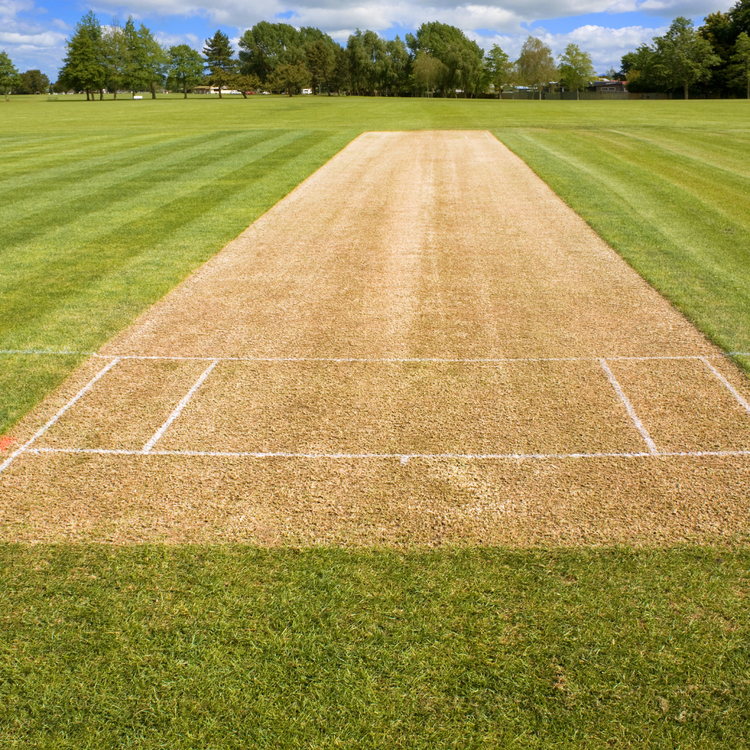 Cricket Pitch