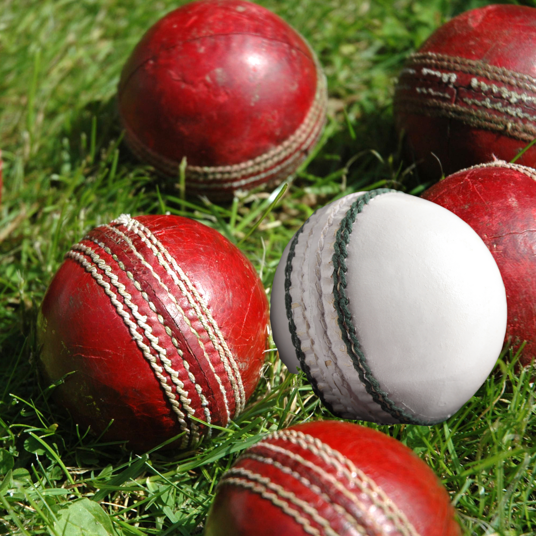cricket leather ball