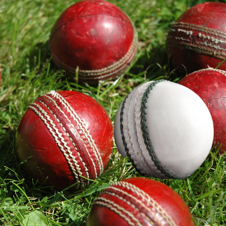 Cricket Season Ball Tennex