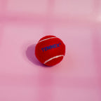 Cricket Tennis Ball Heavy