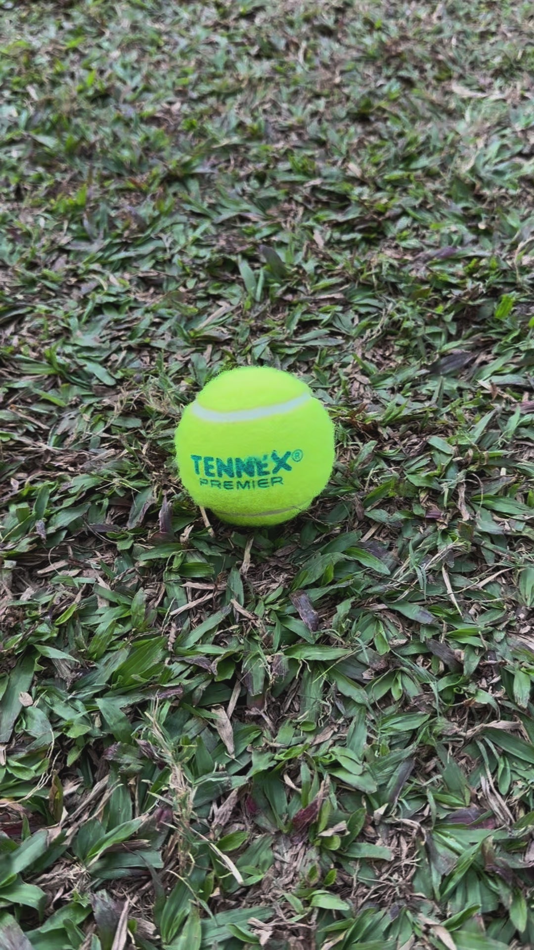 cricket tennis premier spin